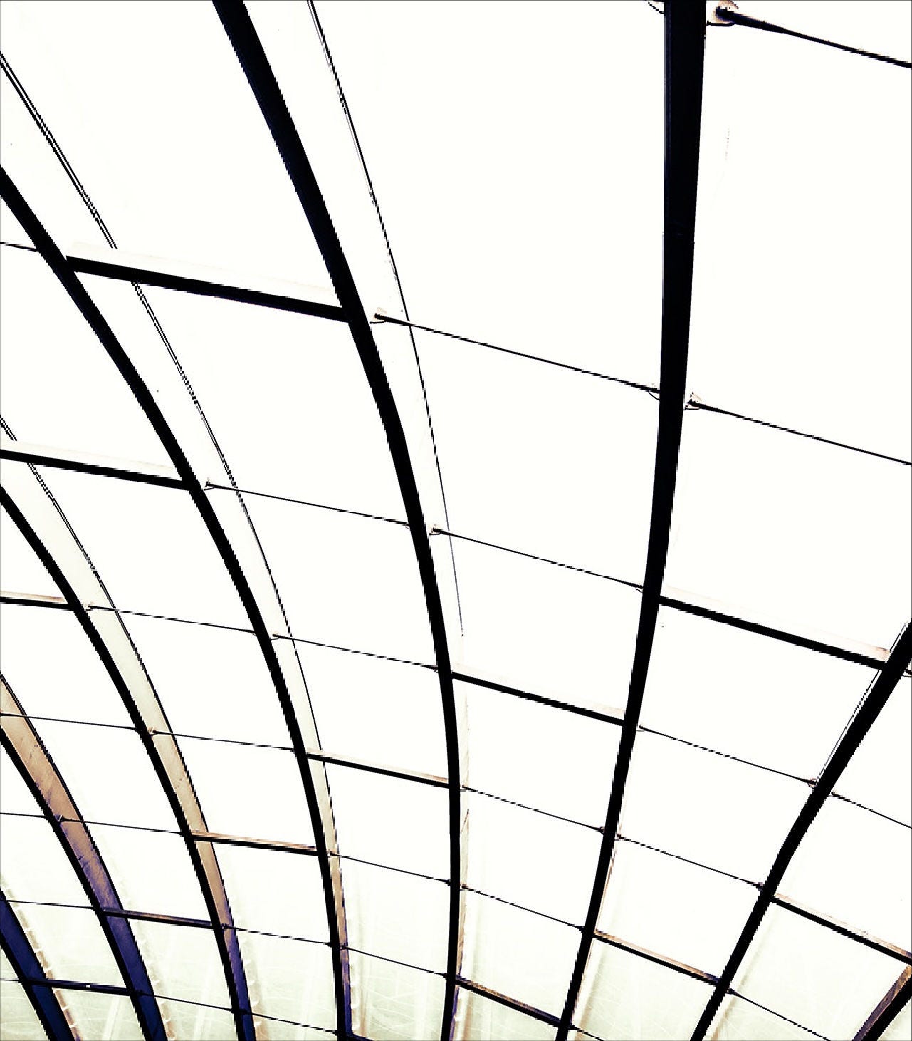 Abstract architectural grid of curved black beams and thin lines against a bright, translucent glass ceiling, forming a modern, structured pattern.